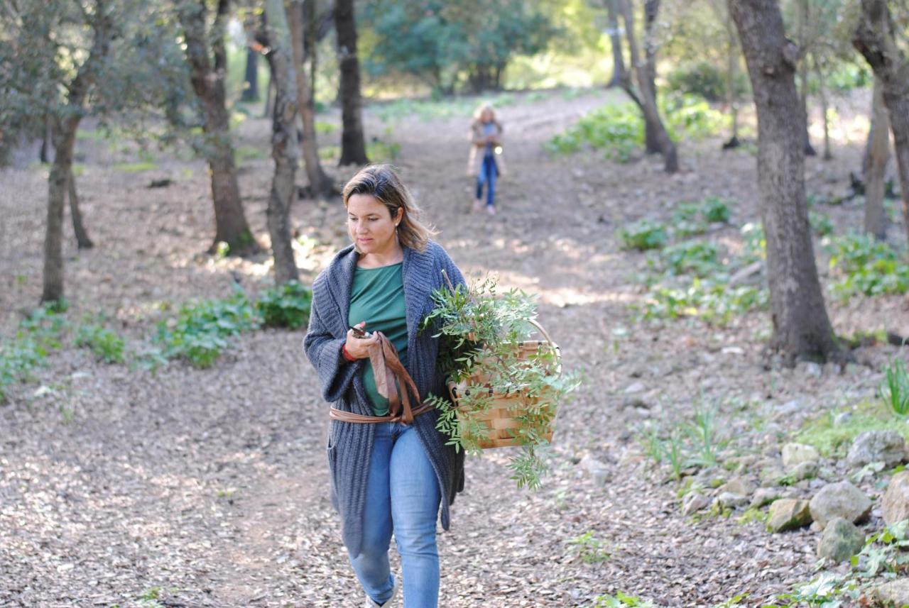 Agroturismo Son Siurana Alcudia  Zewnętrze zdjęcie
